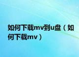 如何下载mv到u盘（如何下载mv）