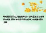 玥玛指纹锁怎么用密码开锁（玥玛指纹锁怎么设置密码和指纹 玥玛指纹锁如何录入密码和指纹介绍）