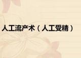 人工流产术（人工受精）