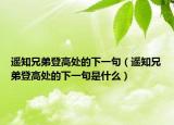 遥知兄弟登高处的下一句（遥知兄弟登高处的下一句是什么）