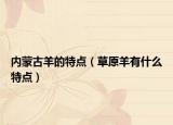 内蒙古羊的特点（草原羊有什么特点）