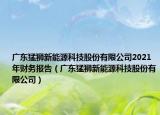广东猛狮新能源科技股份有限公司2021年财务报告（广东猛狮新能源科技股份有限公司）