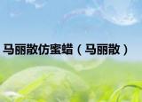 马丽散仿蜜蜡（马丽散）