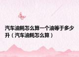 汽车油耗怎么算一个油等于多少升（汽车油耗怎么算）