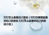 钉钉怎么查看自己密码（钉钉在哪里能看到自己的密码 钉钉怎么能看到自己的密码介绍）