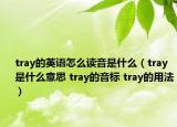 tray的英语怎么读音是什么（tray是什么意思 tray的音标 tray的用法）
