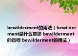 bewilderment的用法（bewilderment是什么意思 bewilderment的音标 bewilderment的用法）