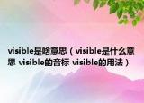visible是啥意思（visible是什么意思 visible的音标 visible的用法）