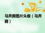 马奔腾图片头像（马奔腾）