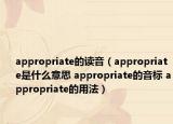 appropriate的读音（appropriate是什么意思 appropriate的音标 appropriate的用法）