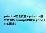 principal怎么读音（principal是什么意思 principal的音标 principal的用法）
