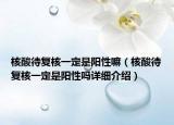 核酸待复核一定是阳性嘛（核酸待复核一定是阳性吗详细介绍）