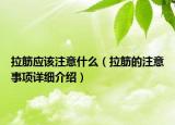 拉筋应该注意什么（拉筋的注意事项详细介绍）