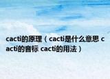cacti的原理（cacti是什么意思 cacti的音标 cacti的用法）