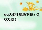 qq大盗手机版下载（QQ大盗）