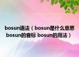 bosun语法（bosun是什么意思 bosun的音标 bosun的用法）