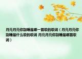 月亮月亮你别睡是哪一首歌的歌词（月亮月亮你别睡是什么歌的歌词 月亮月亮你别睡是哪首歌词）