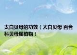 太白贝母的功效（太白贝母 百合科贝母属植物）