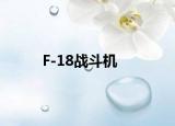 F-18战斗机