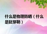 什么是物理防晒（什么是胚芽鞘）