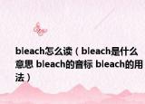 bleach怎么读（bleach是什么意思 bleach的音标 bleach的用法）