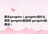 英文gangster（gangster是什么意思 gangster的音标 gangster的用法）