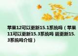 苹果12可以更新15.1系统吗（苹果11可以更新15.3系统吗 能更新15.3系统吗介绍）