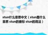 stun什么意思中文（stun是什么意思 stun的音标 stun的用法）