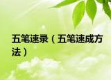 五笔速录（五笔速成方法）