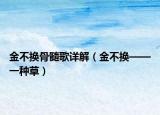 金不换骨髓歌详解（金不换——一种草）
