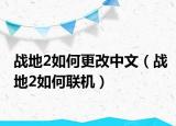 战地2如何更改中文（战地2如何联机）