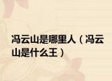 冯云山是哪里人（冯云山是什么王）