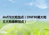 dnf70大枪加点（DNF90男大枪王大枪最新加点）