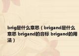 brig是什么意思（brigand是什么意思 brigand的音标 brigand的用法）