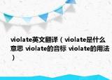 violate英文翻译（violate是什么意思 violate的音标 violate的用法）