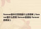 forever的中文意思是什么意思啊（forever是什么意思 forever的音标 forever的用法）