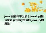 jewel的音标怎么读（jewelry是什么意思 jewelry的音标 jewelry的用法）