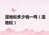 湿地松多少钱一吨（湿地松）