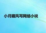 小月藏风写网络小说