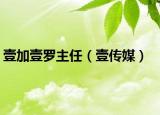 壹加壹罗主任（壹传媒）