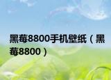 黑莓8800手机壁纸（黑莓8800）