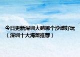 今日更新深圳大鹏哪个沙滩好玩（深圳十大海滩推荐）