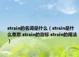 strain的名词是什么（strain是什么意思 strain的音标 strain的用法）