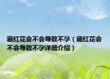 藏红花会不会导致不孕（藏红花会不会导致不孕详细介绍）