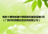 骞胯タ鐫挎磱瀹忓崥鎶曡祫鏈夐檺鍏徃（广西鸿利博雅投资咨询有限公司）