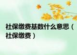 社保缴费基数什么意思（社保缴费）