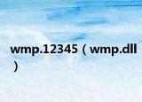 wmp.12345（wmp.dll）