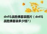 dnf斗战胜佛套装图片（dnf斗战胜佛套装多少钱?）