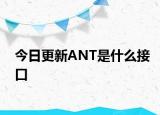 今日更新ANT是什么接口
