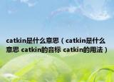 catkin是什么意思（catkin是什么意思 catkin的音标 catkin的用法）